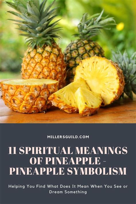 just a pineapple lyrics|just a pineapple lyrics meaning.